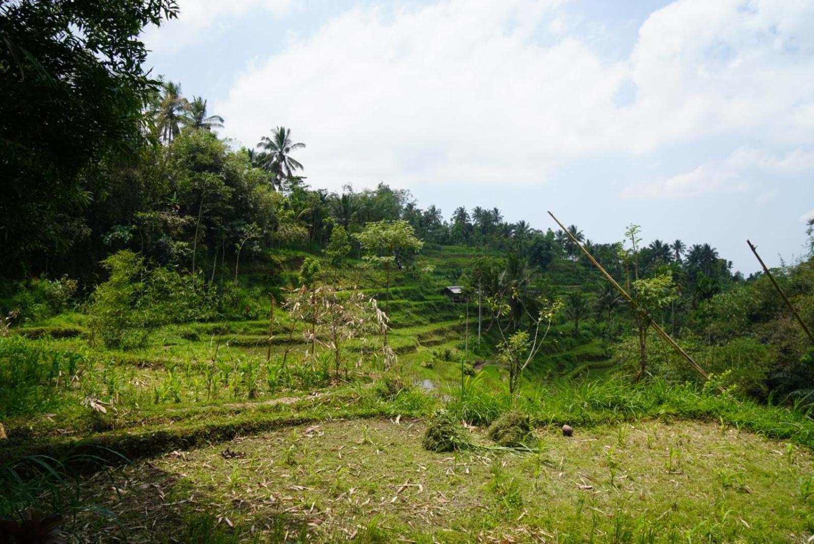 Tetebatu Indah Homestay Quarto foto